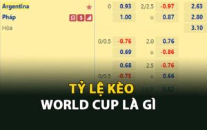 Tỷ lệ kèo World Cup là gì?